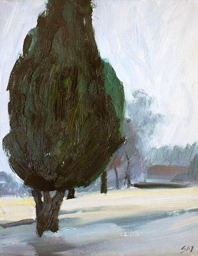 Susan Murphy, Bastion, oil on board