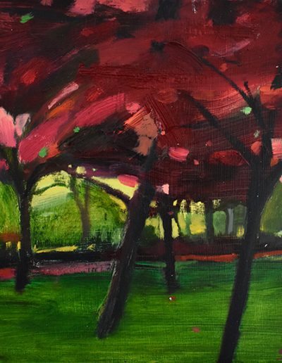 Susan Murphy, Pink Canopy
