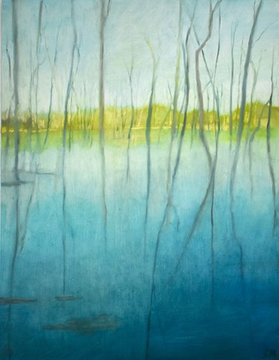 Susan Murphy,Reflected #1